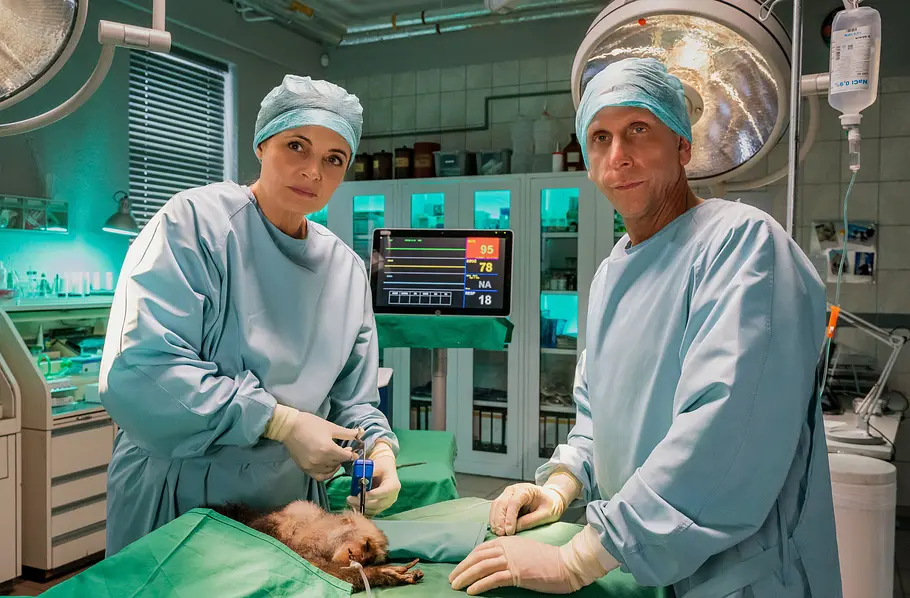 Tierärztin Dr. Mertens Szenenbild in einem OP-Raum bei Tierärztin Dr. Mertens