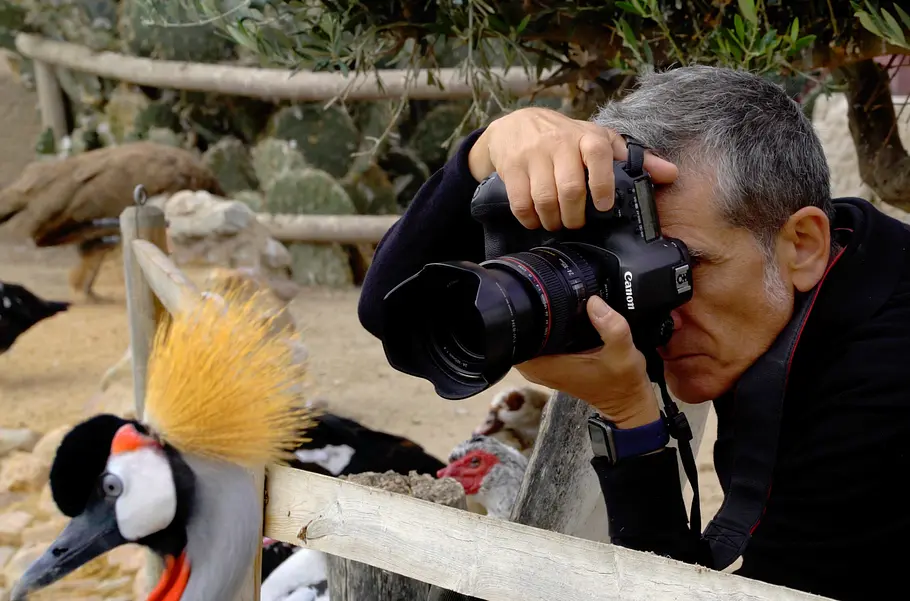 Tierisch fotogen