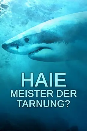 Haie: Meister der Tarnung? - Foto: TMDB Haie: Meister der Tarnung? - Foto: TMDB