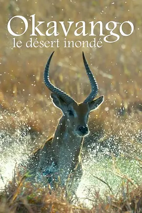 Flut in der Kalahari - Foto: TMDB