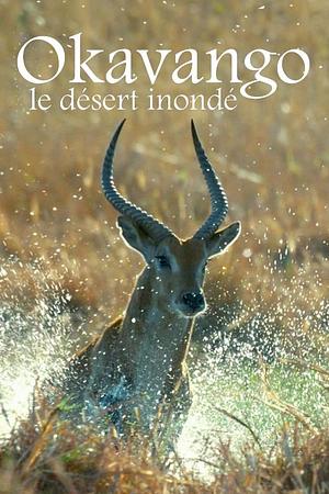 Flut in der Kalahari - Foto: TMDB