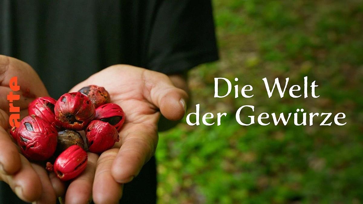 Welt der Gewürze Welt der Gewürze