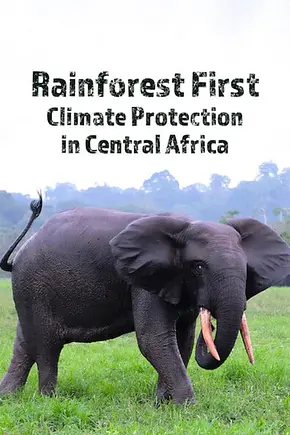 Rainforest First: Climate Protection in Central Africa - Foto: TMDB Rainforest First: Climate Protection in Central Africa - Foto: TMDB