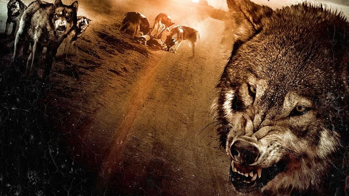 Wolf Town Wolf Town