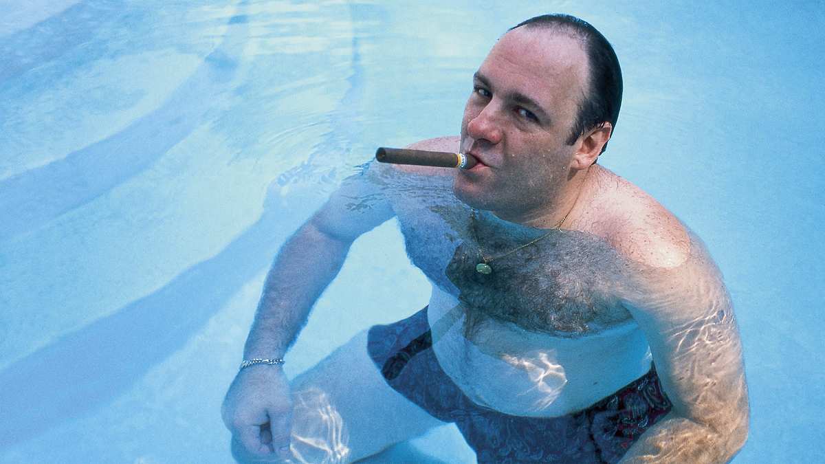 Wise Guy: David Chase and the Sopranos