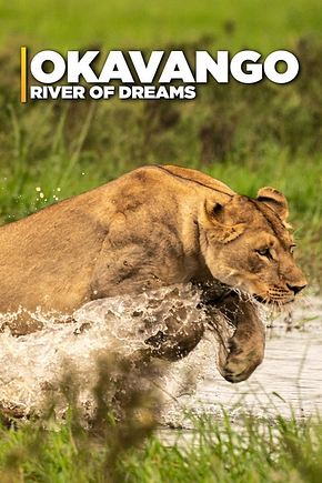 Okavango - Fluss der Träume - Foto: TMDB