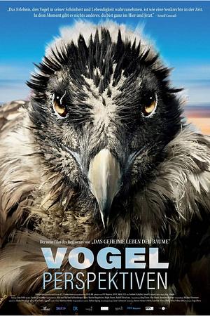 Vogelperspektiven - Foto: TMDB