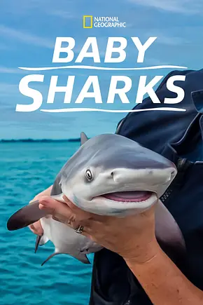 Baby Sharks - Foto: TMDB Baby Sharks - Foto: TMDB