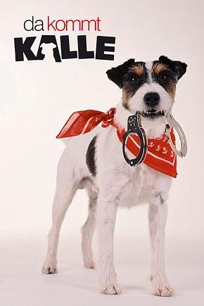 Da kommt Kalle - Foto: TMDB
