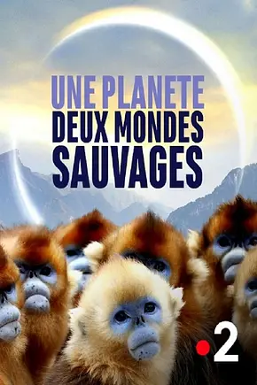 Une planète, deux mondes sauvages - Foto: TMDB