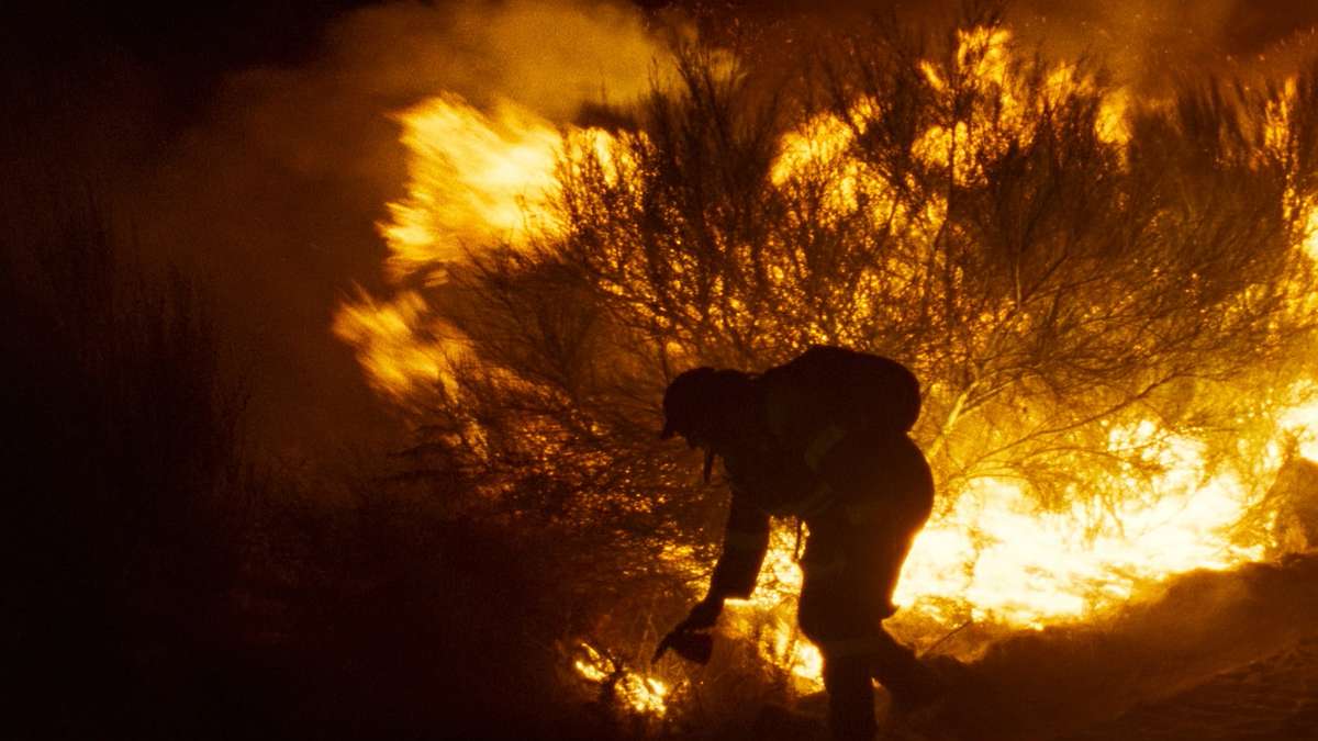 Fire Will Come Fire Will Come