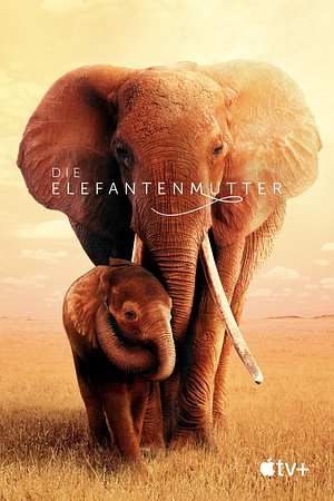 Die Elefantenmutter - Foto: TMDB