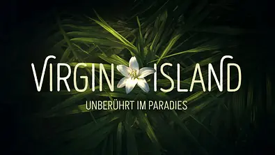 Das Logo der RTL+-Sendung „Virgin Island“. - Foto: RTL Studios Das Logo der RTL+-Sendung „Virgin Island“. - Foto: RTL Studios