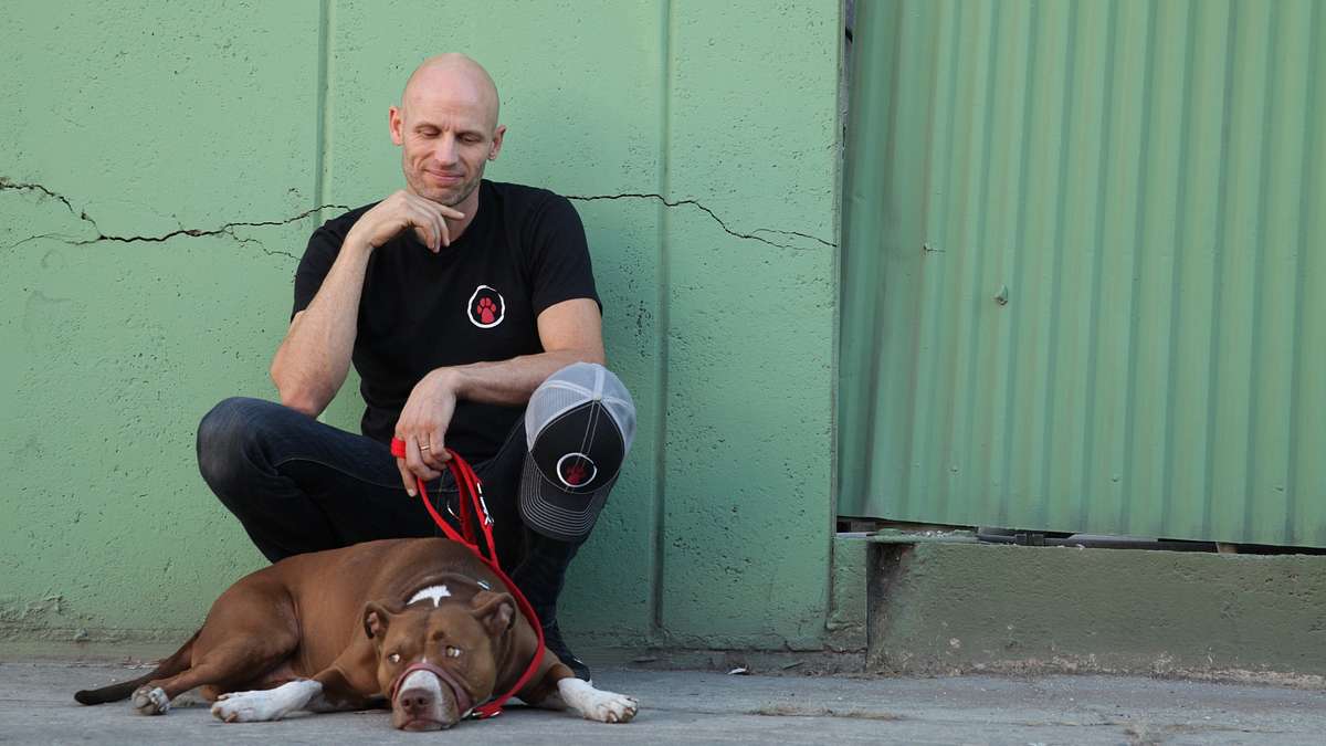 Zweite Chance für Hunde Zweite Chance für Hunde