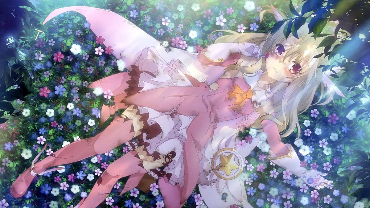 Fate/kaleid liner Prisma Illya Fate/kaleid liner Prisma Illya