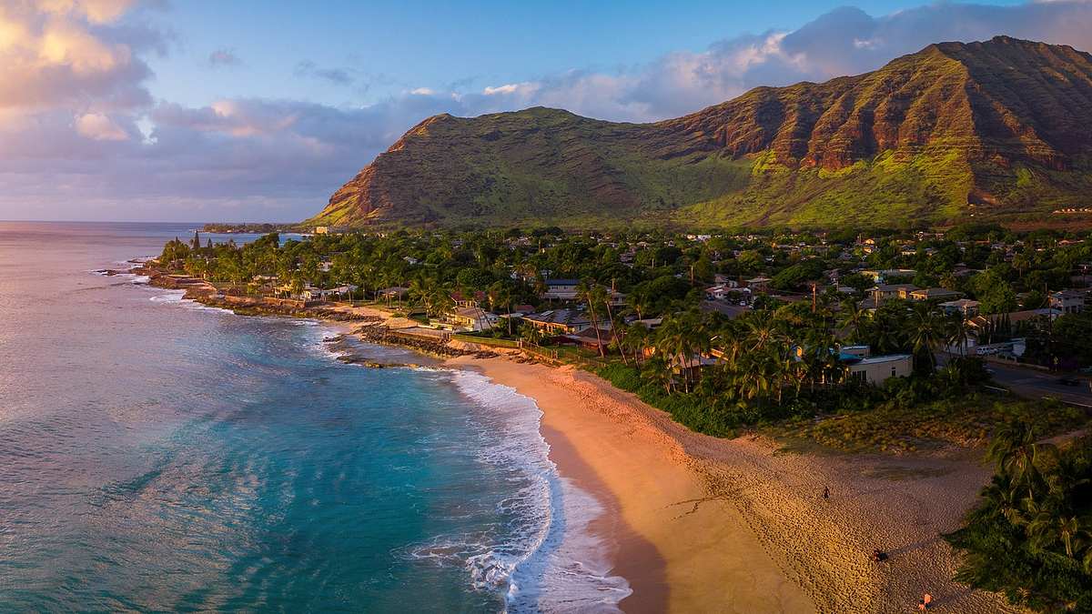 Wildes Hawaii