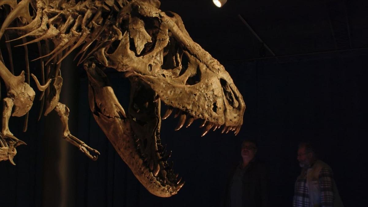 Bones: Auf der Jagd nach Dino-Fossilien Bones: Auf der Jagd nach Dino-Fossilien