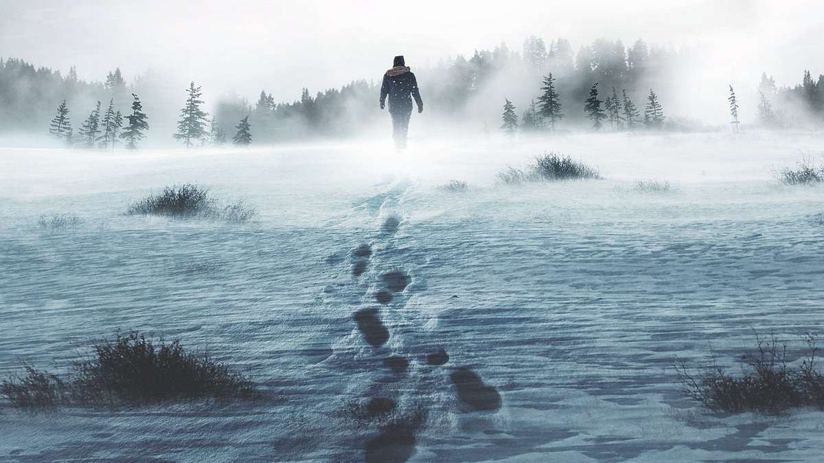 Alone - Überleben in der Wildnis