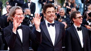 Wes Anderson, Benicio del Toro und Michael Cera bei der Premiere des Kinofilms „Der phönizische Meisterstreich“ - Foto: IMAGO / Future Image