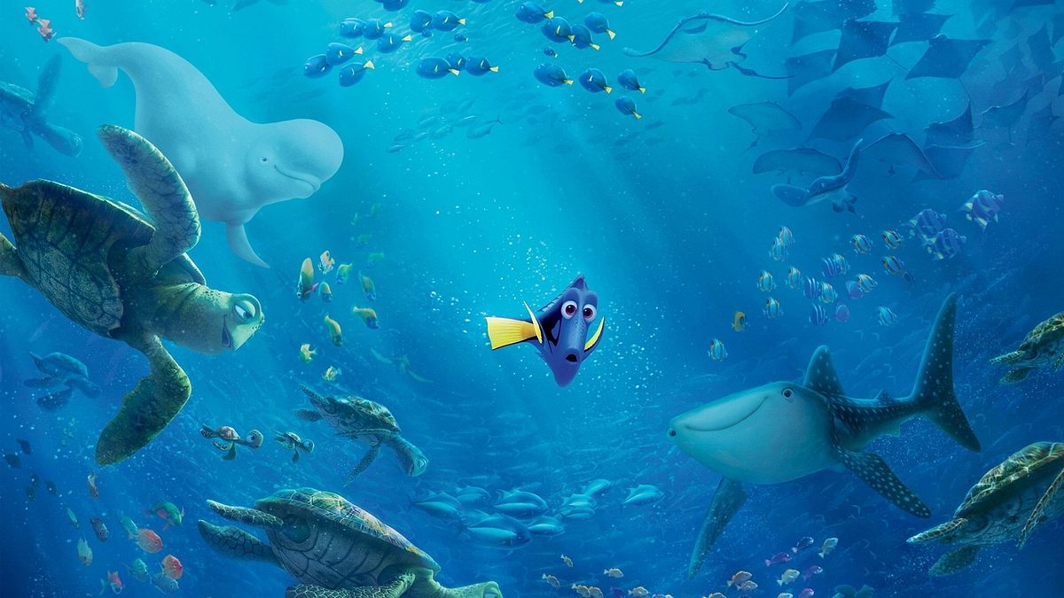 Findet Dorie Findet Dorie