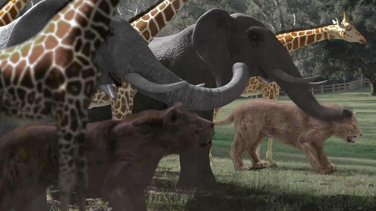Zoombies 2 Zoombies 2