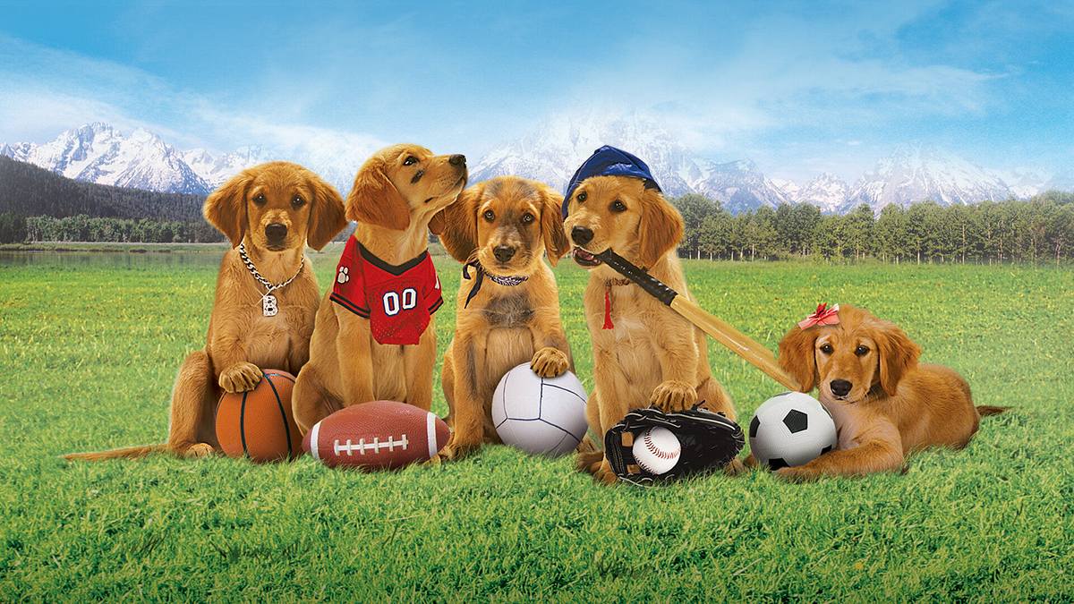 Air Buddies - Die Welpen sind los Air Buddies - Die Welpen sind los