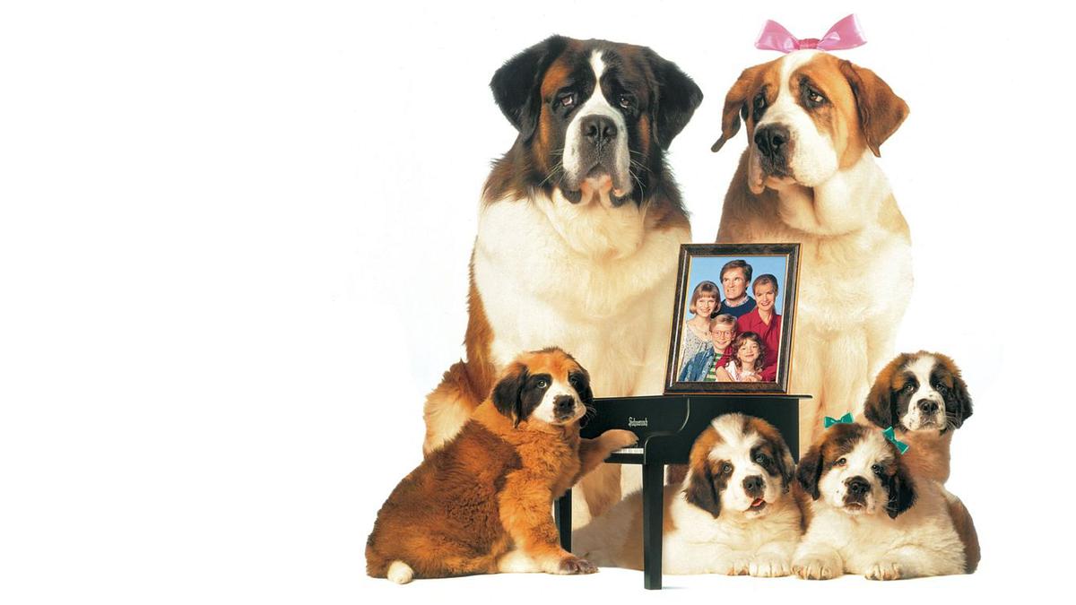 Eine Familie namens Beethoven Eine Familie namens Beethoven