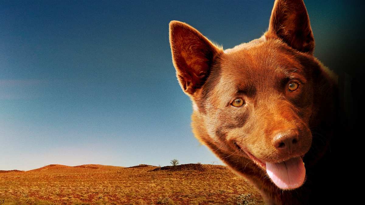 Red Dog Red Dog