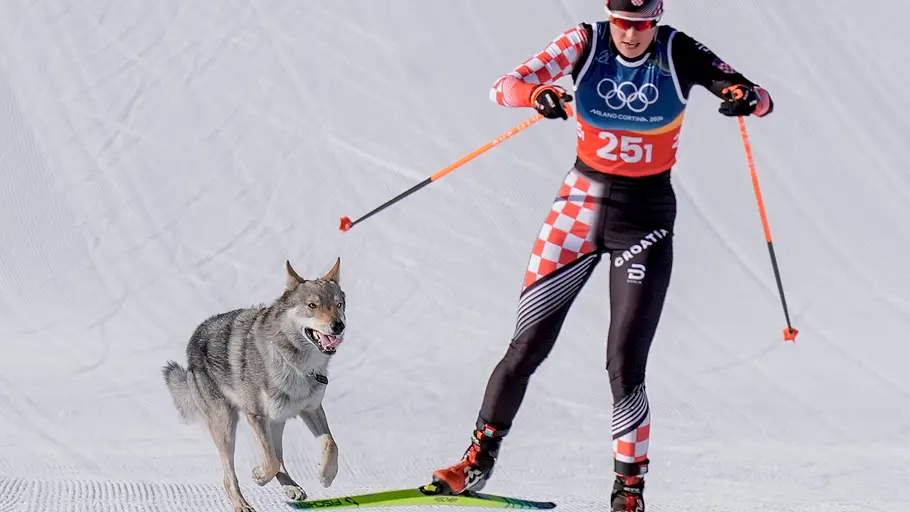 Wolfshund bei Olympia