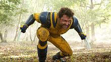 Wolverine - Foto:  IMAGO / Landmark Media