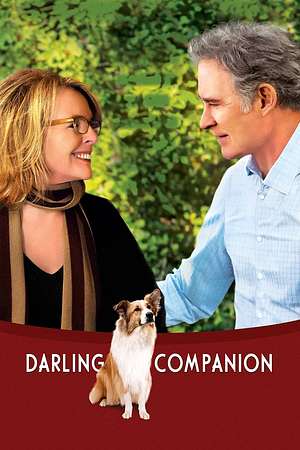 Darling Companion – Ein Hund fürs Leben - Foto: TMDB