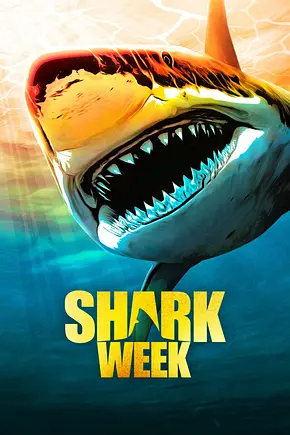 Shark Week - Foto: TMDB Shark Week - Foto: TMDB