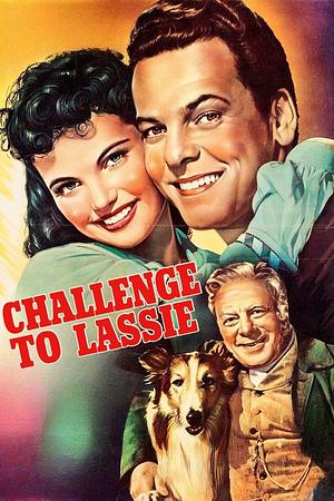 Lassie in Not - Foto: TMDB