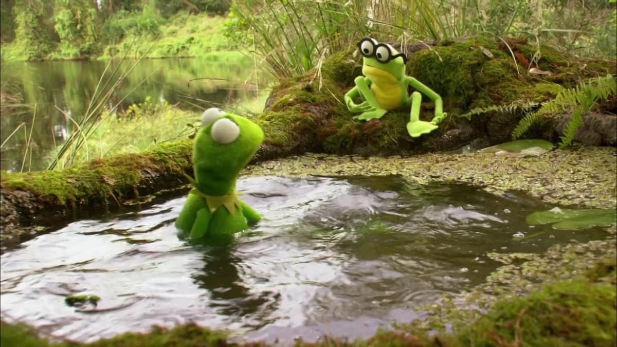 Kermit der Frosch Kermit der Frosch