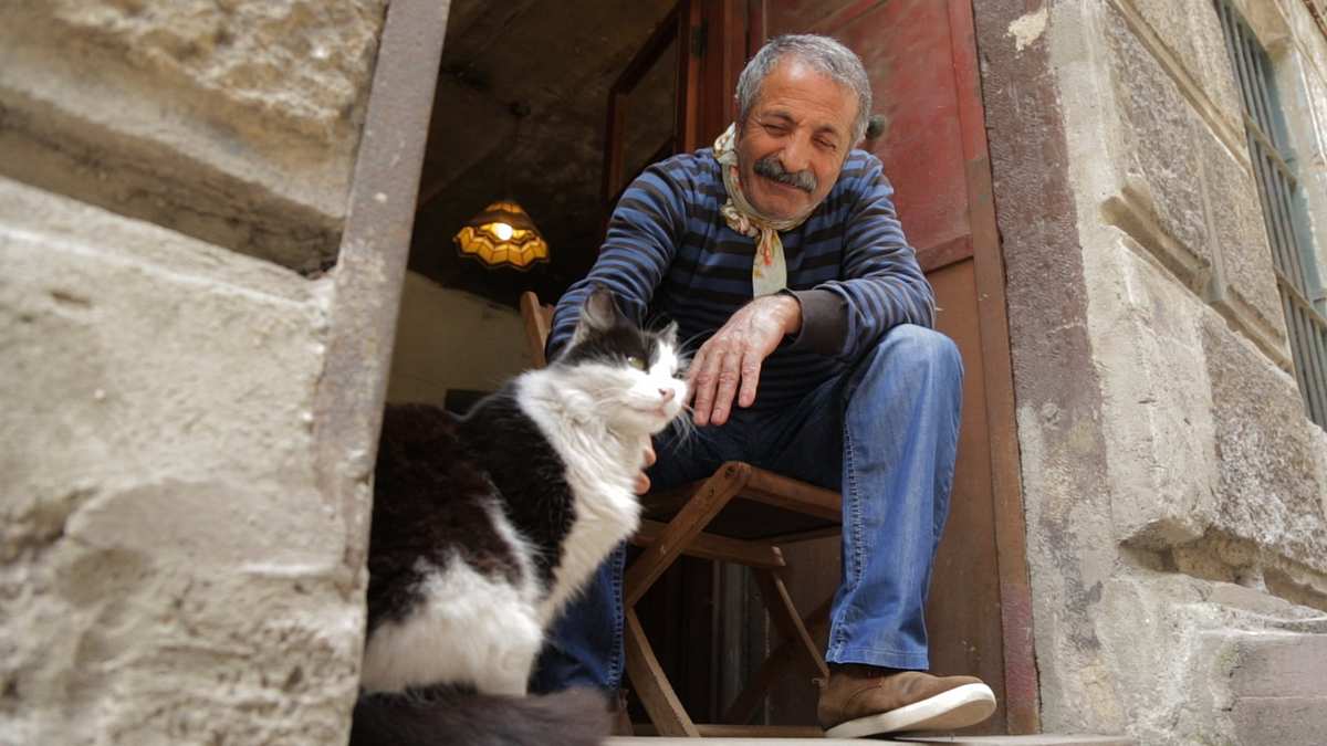 Kedi - Von Katzen und Menschen Kedi - Von Katzen und Menschen