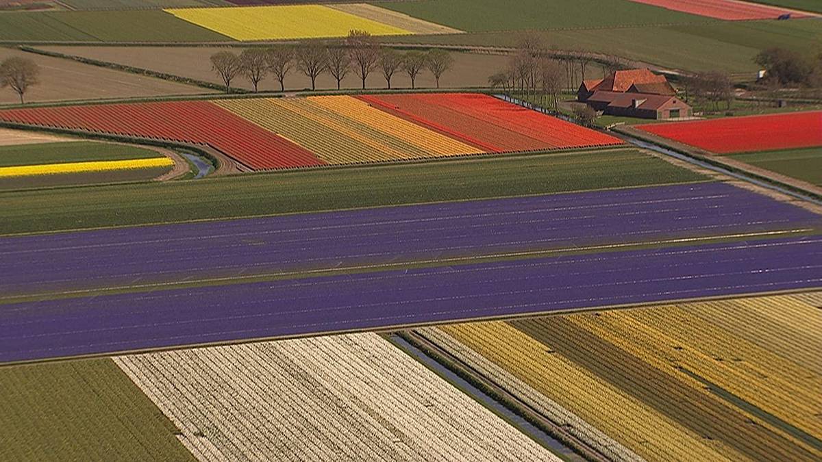 Home - Die Geschichte einer Reise Home - Die Geschichte einer Reise