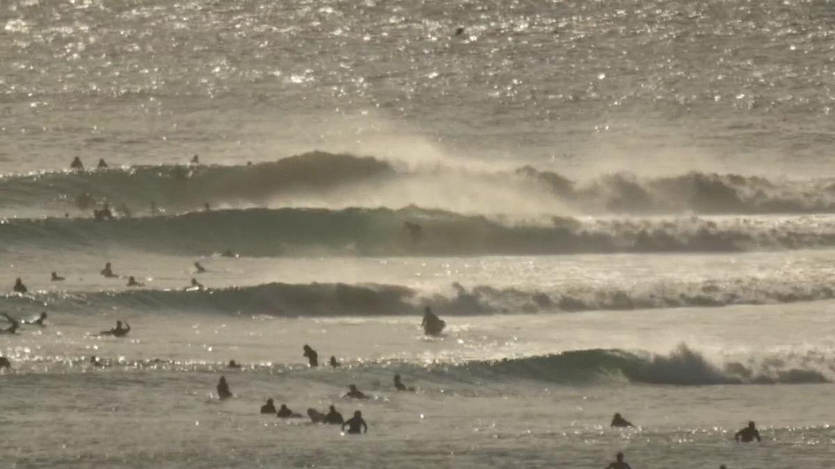 Surf One