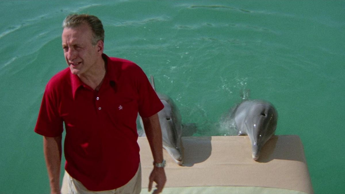 Der Tag des Delphins Der Tag des Delphins
