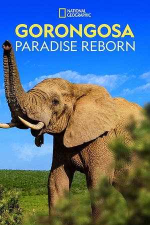 Gorongosa: Paradise Reborn - Foto: TMDB