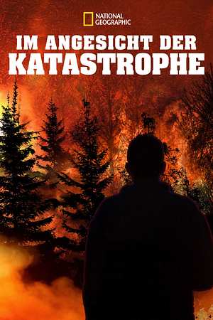 Im Angesicht der Katastrophe - Foto: TMDB