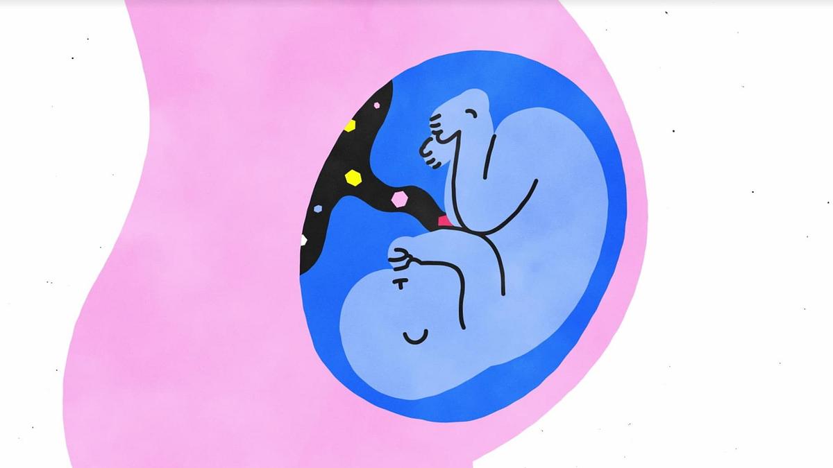 Explained: Sex
