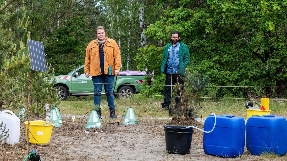 Großstadtförsterin – Berliner Besonderheiten Großstadtförsterin – Berliner Besonderheiten