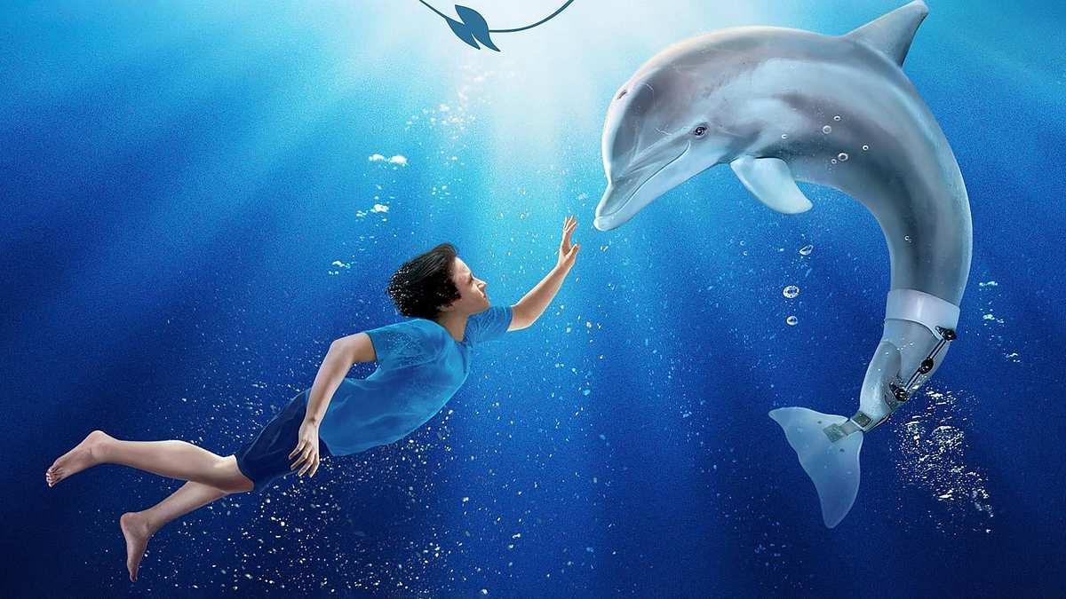 Mein Freund, der Delfin Mein Freund, der Delfin