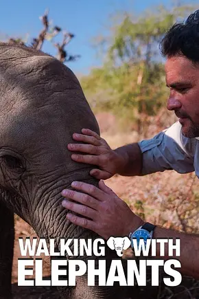 Walking with Elephants - Foto: TMDB Walking with Elephants - Foto: TMDB