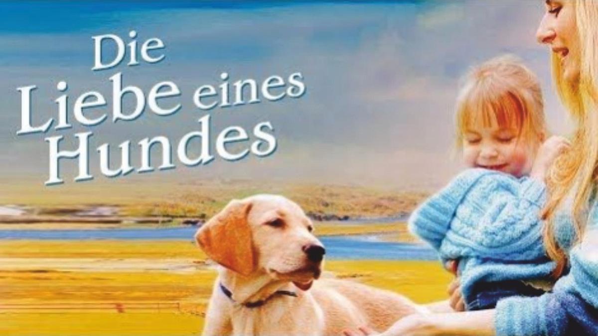 Die Liebe eines Hundes Die Liebe eines Hundes