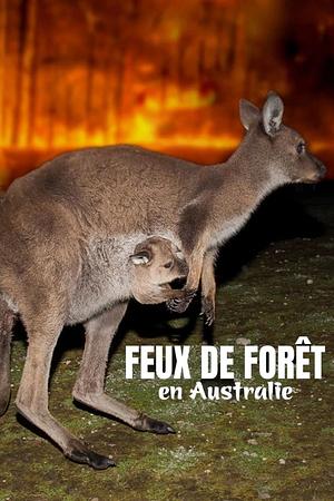 Koala, Wombat & Co. - Leben nach dem Buschfeuer - Foto: TMDB