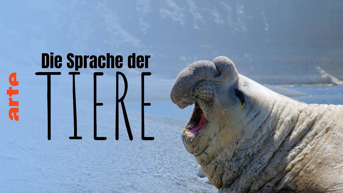 Die Sprache der Tiere Die Sprache der Tiere
