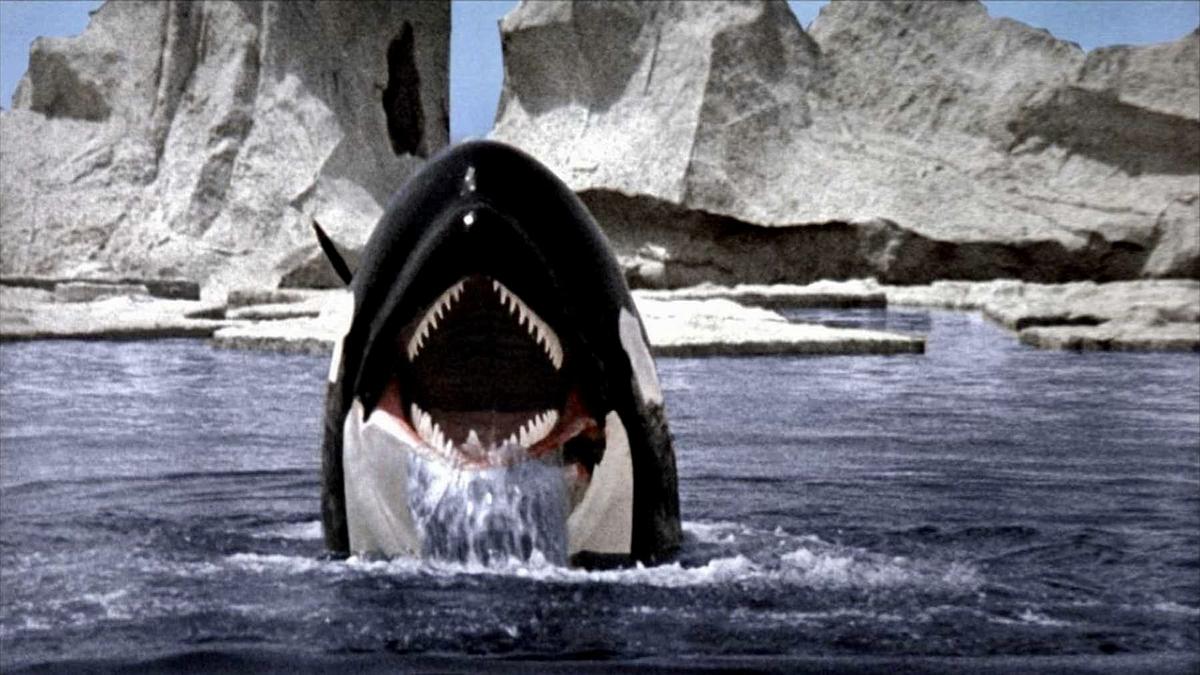Orca - Der Killerwal Orca - Der Killerwal