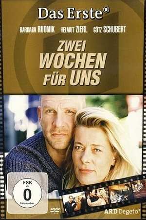 Zwei Wochen für uns - Foto: TMDB