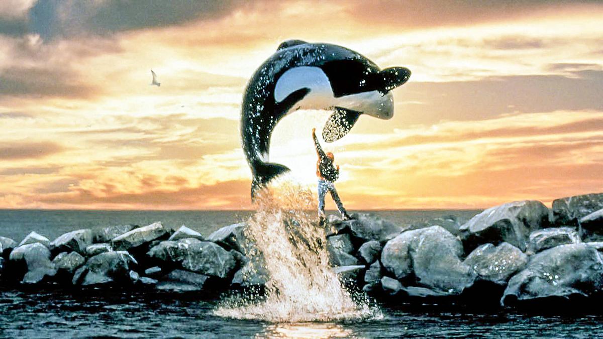 Free Willy - Ruf der Freiheit Free Willy - Ruf der Freiheit